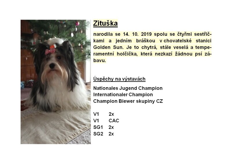 Zita